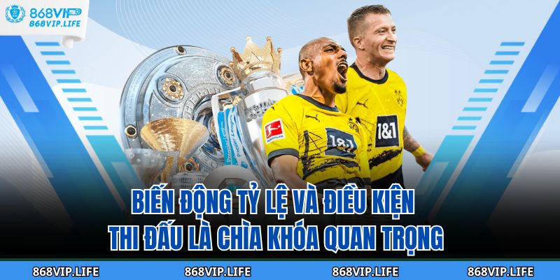 Biến động tỷ lệ và điều kiện thi đấu là chìa khóa quan trọng