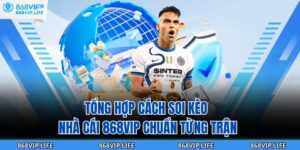 cách soi kèo nhà cái
